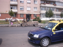 Tarnaveni